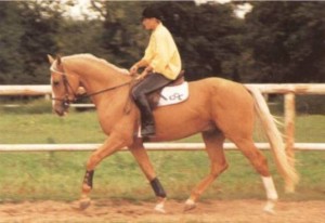 Obrazek